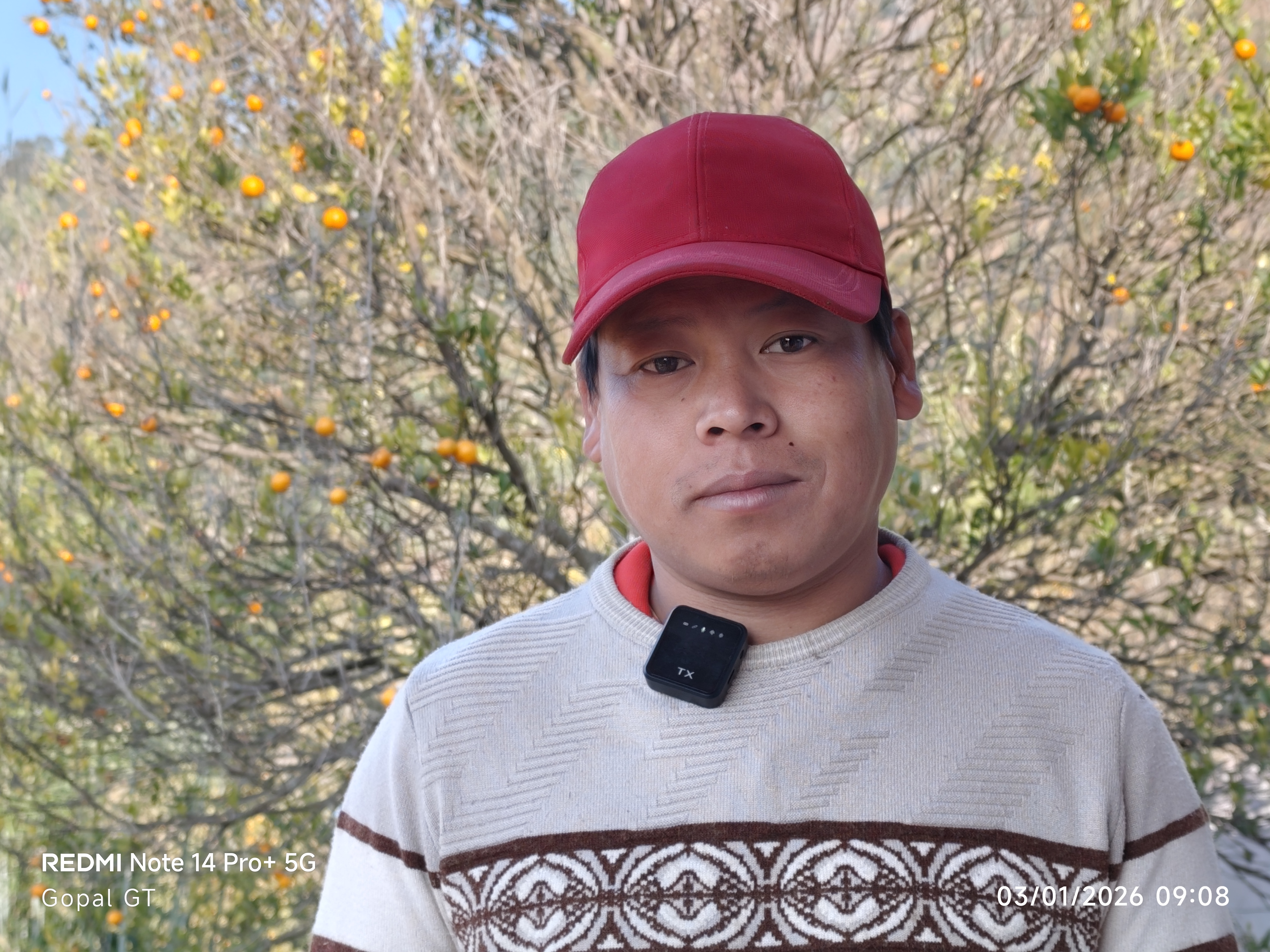 सुन्तला